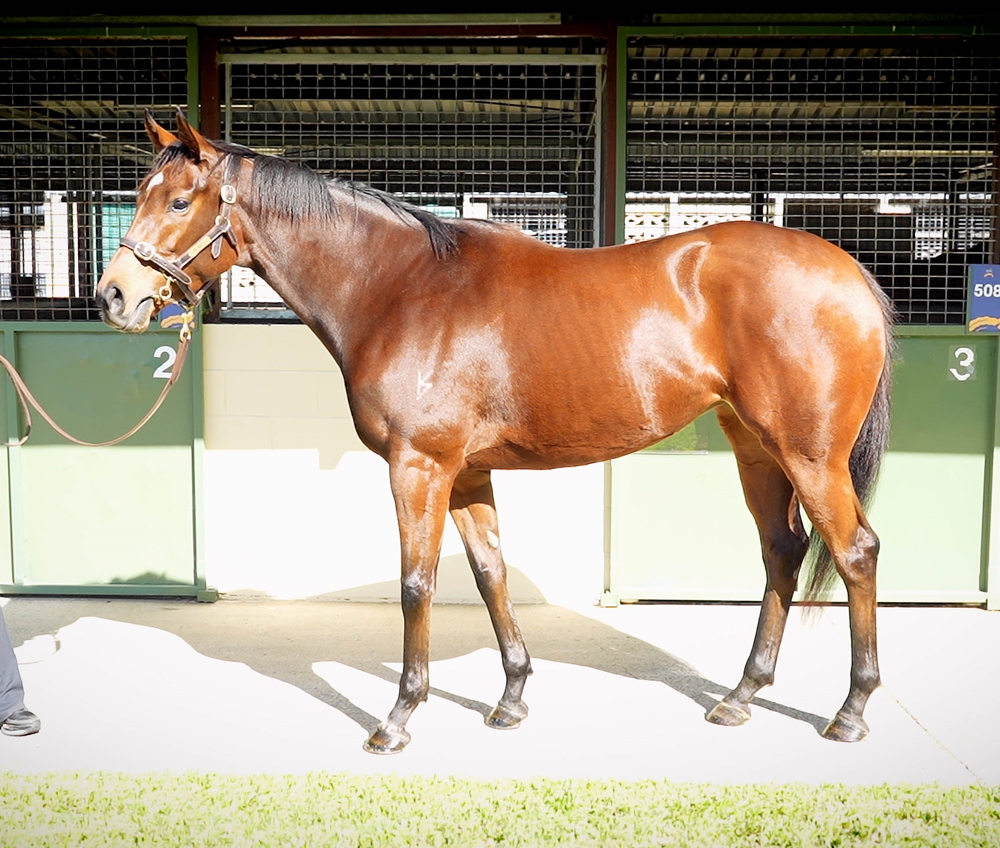 Sunday Georgie (AUS) - Image 1