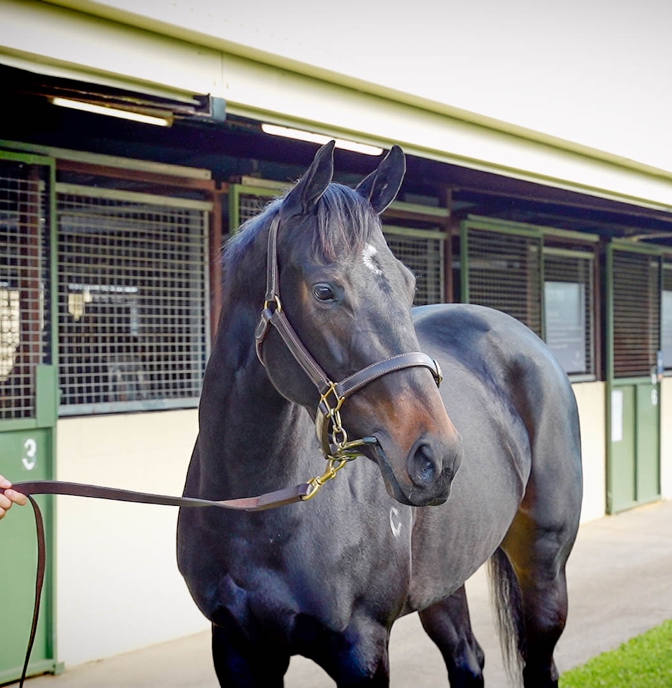 Wiltshire Square (AUS) - Image 2