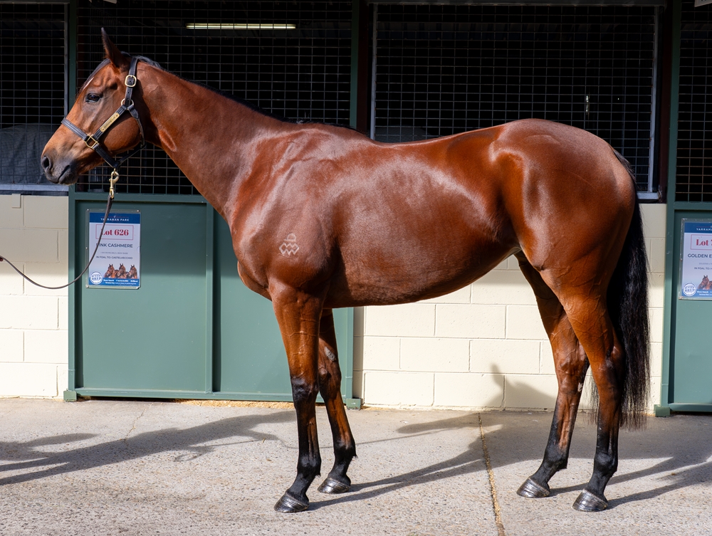Waimarie (AUS) - Image 1