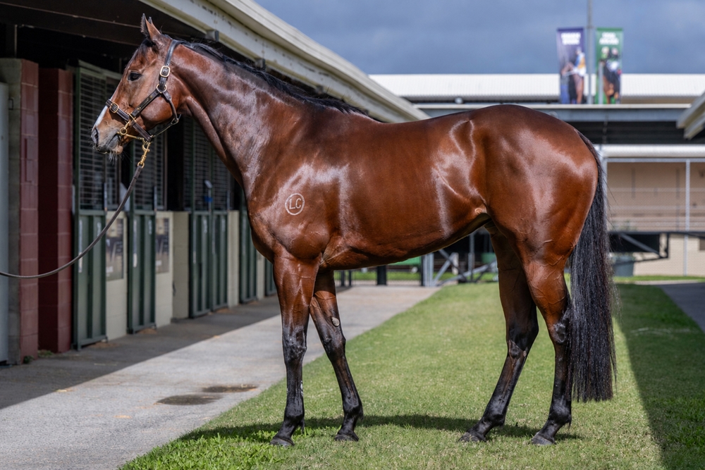 Miss Personality (AUS) - Image 1