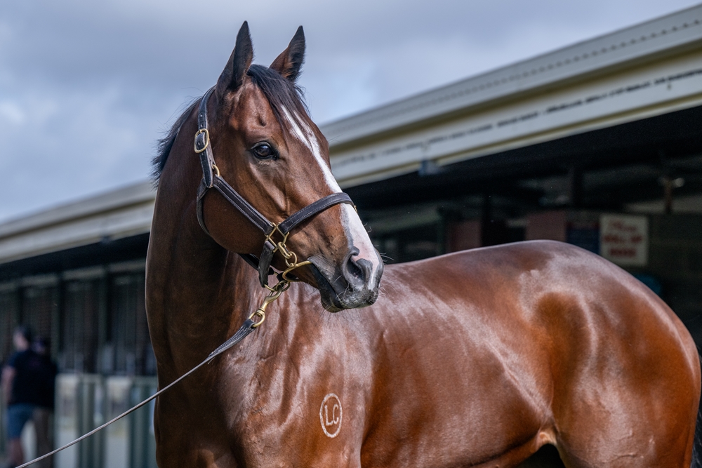 Miss Personality (AUS) - Image 2