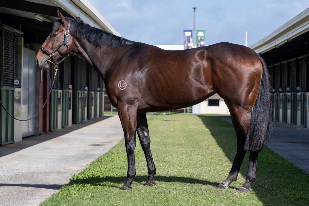 Privateer (AUS) - Image 1