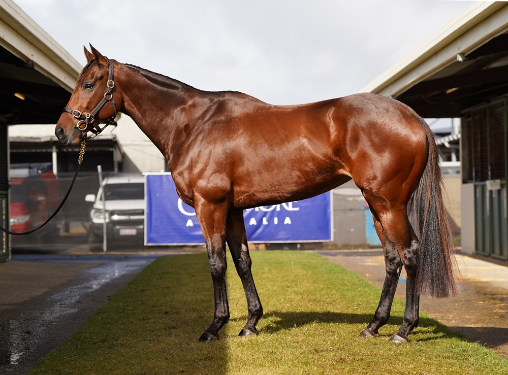 Marble Arch (NZ) - Image 1