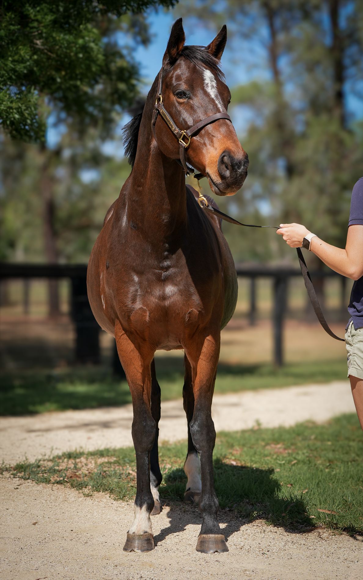 Taste of Heaven-fronts