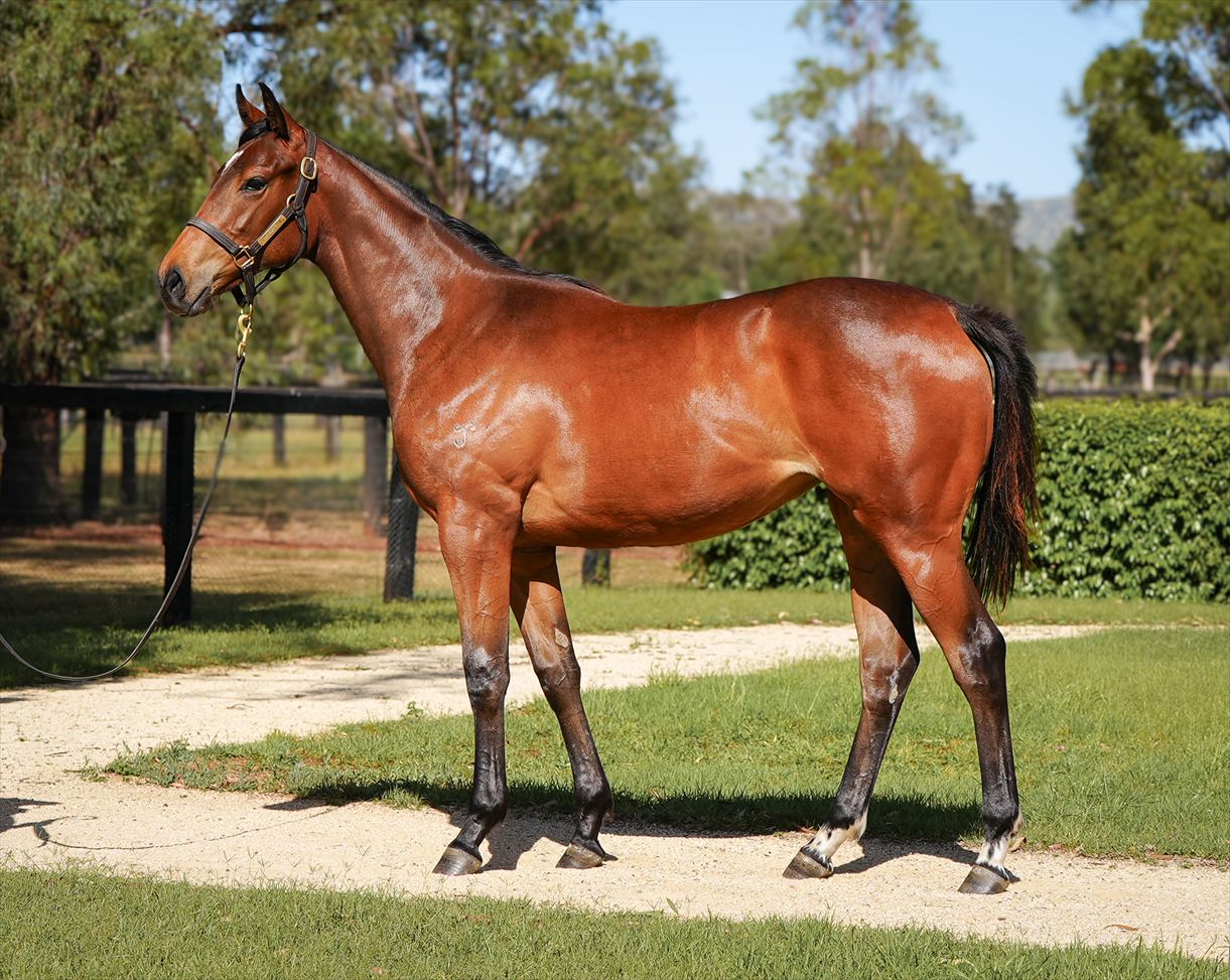 Taste of Heaven-yearling