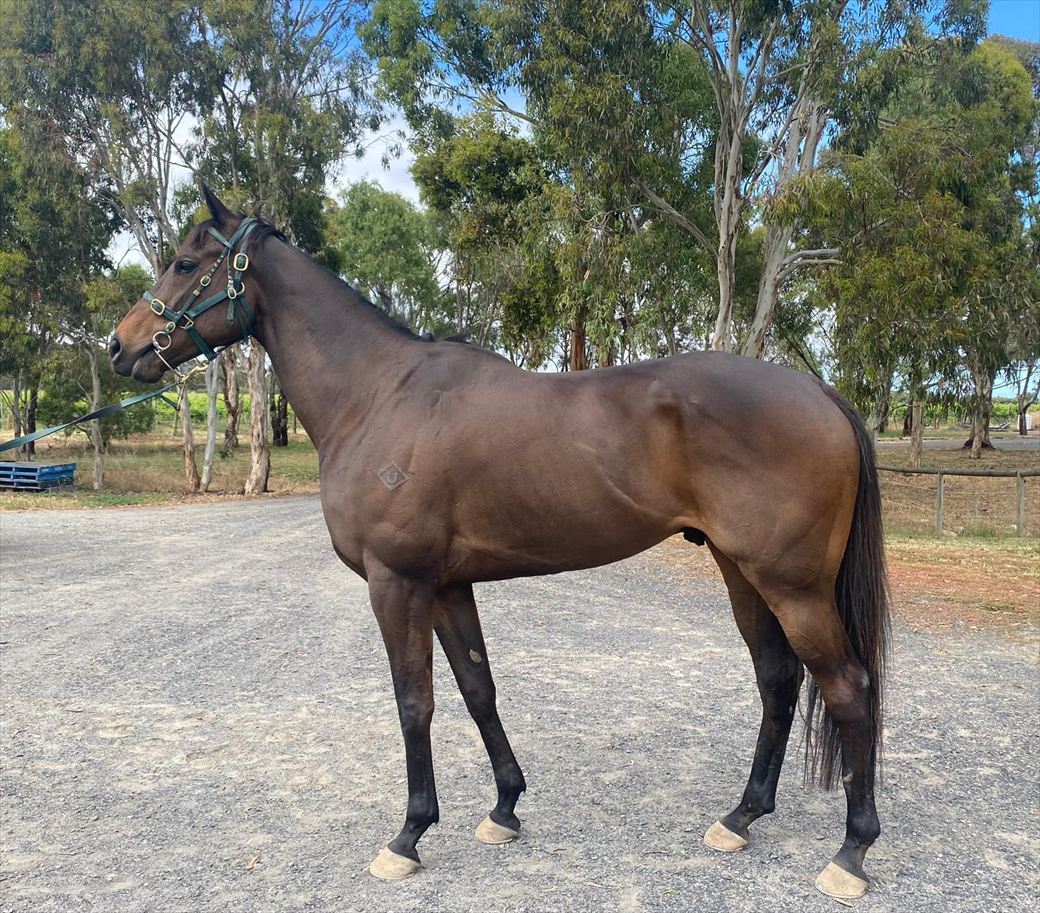 Sachem 3 confirmation