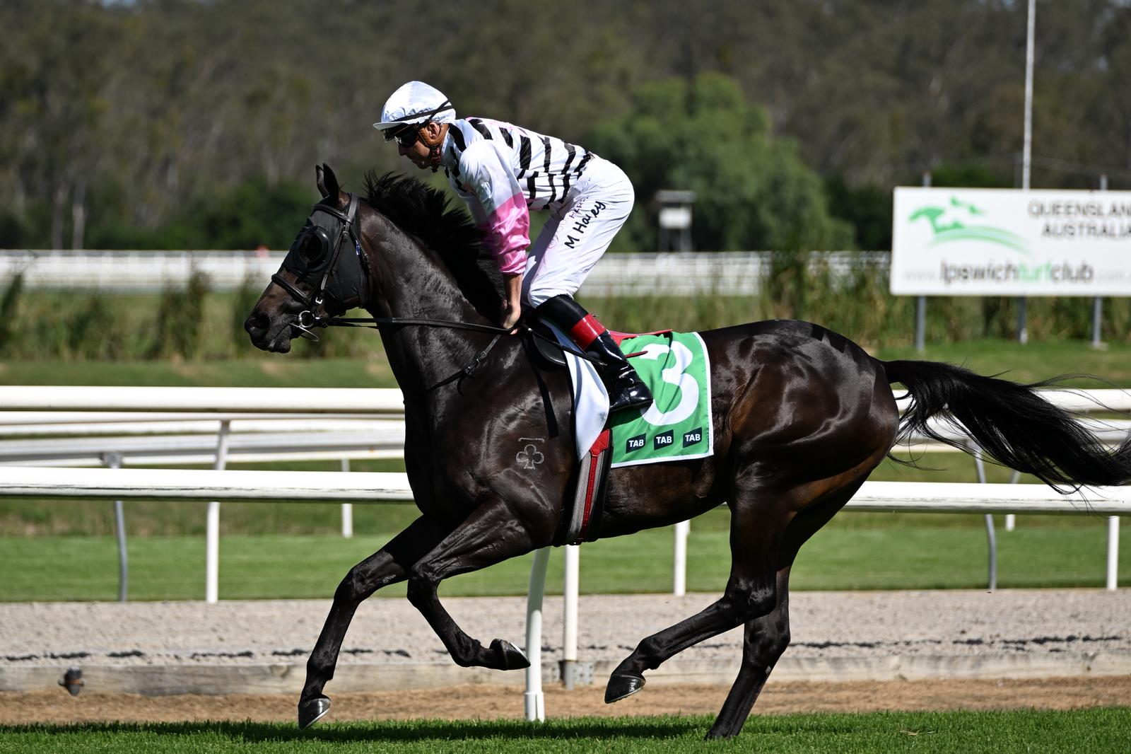 Intruder confirmation