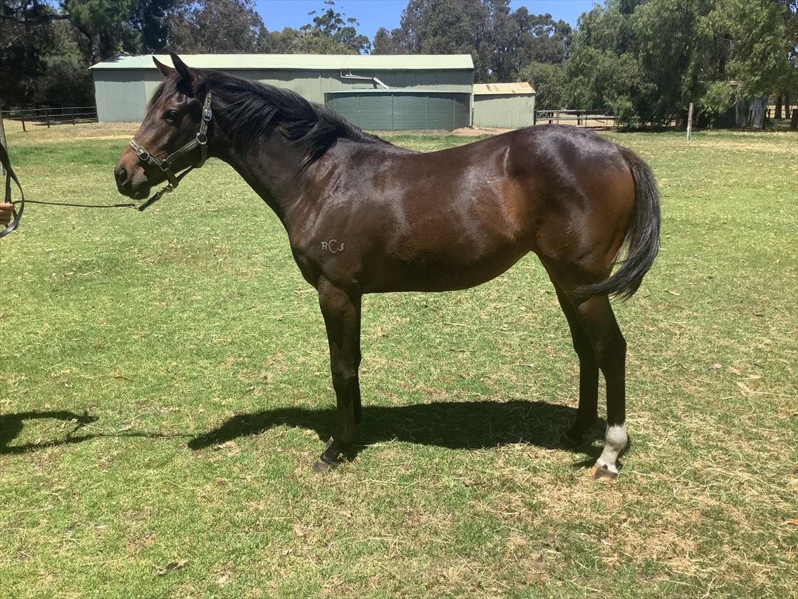 Chant Of God x Paulele confirmation