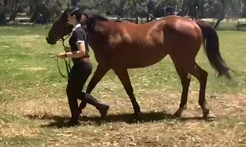 Earthlight x Mithali