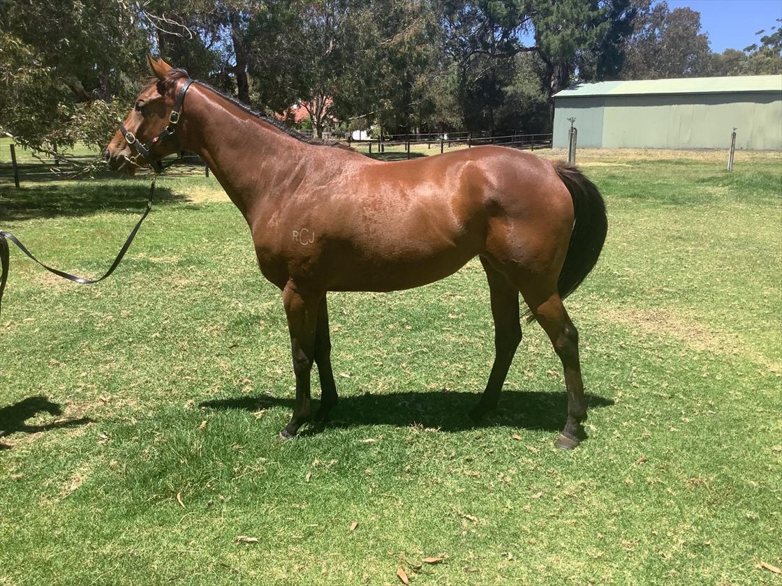 Chant of God x Earthlight confirmation