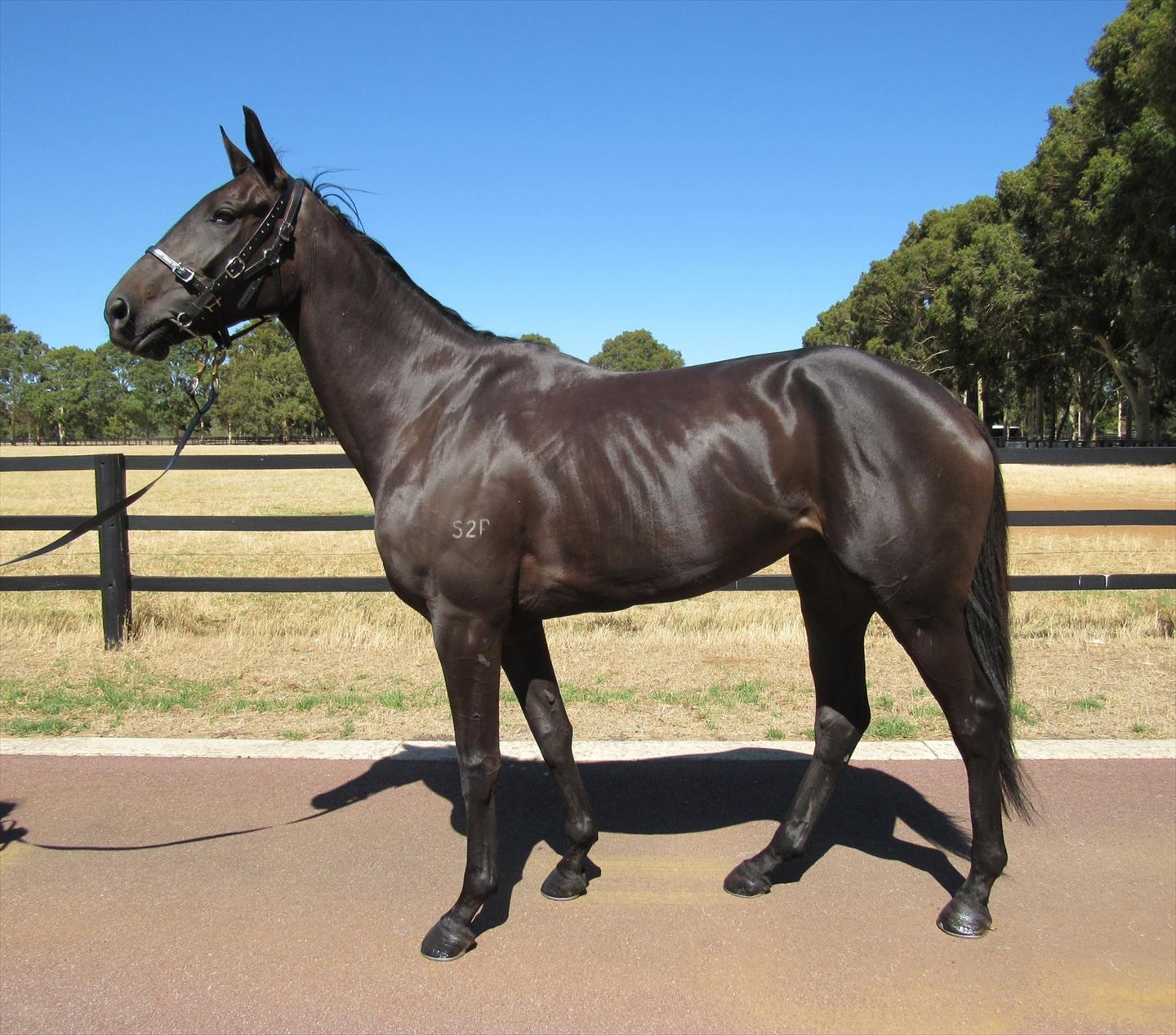 Twilight Tale confirmation