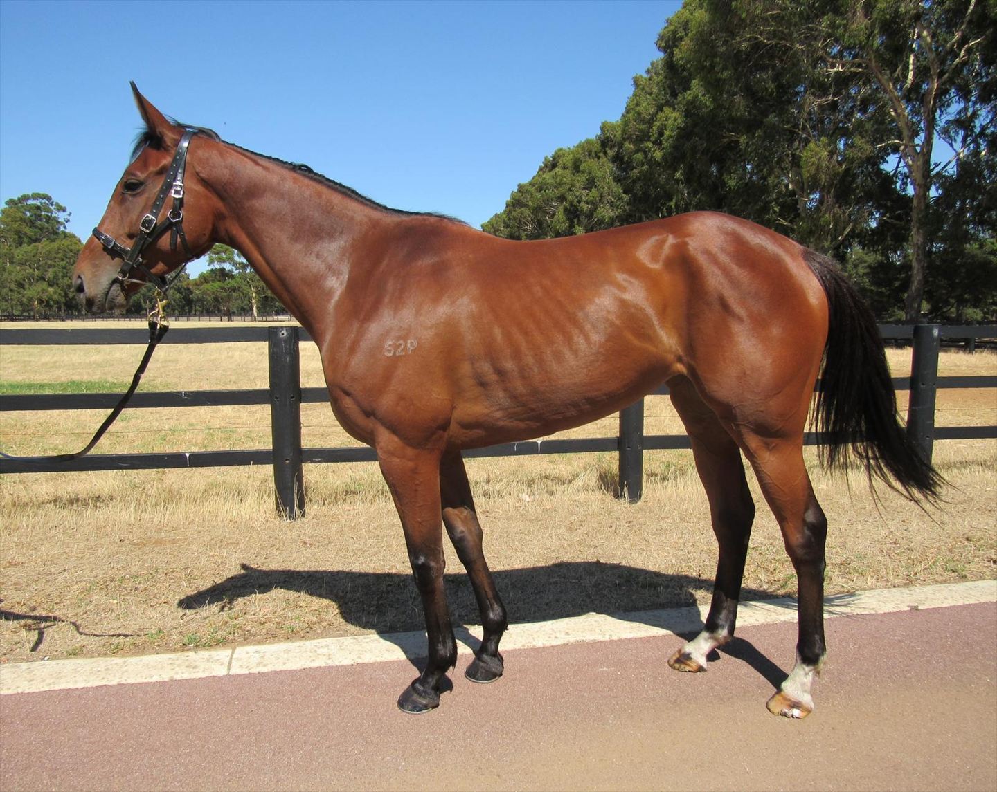 Ideally confirmation