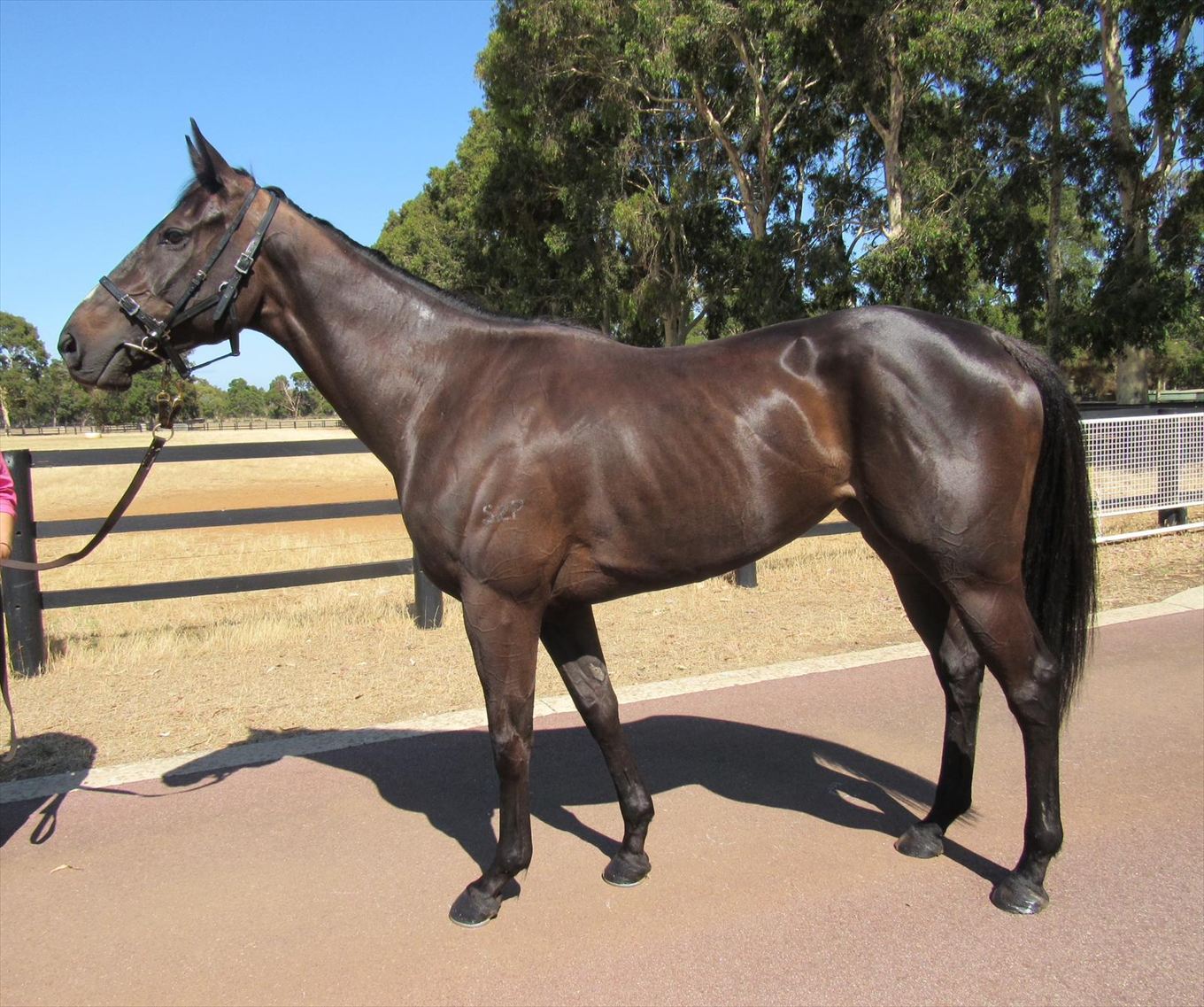 Astro World confirmation