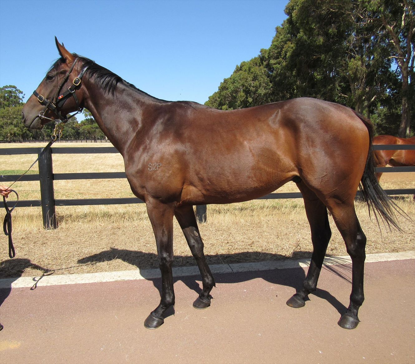 Ocean Reef confirmation