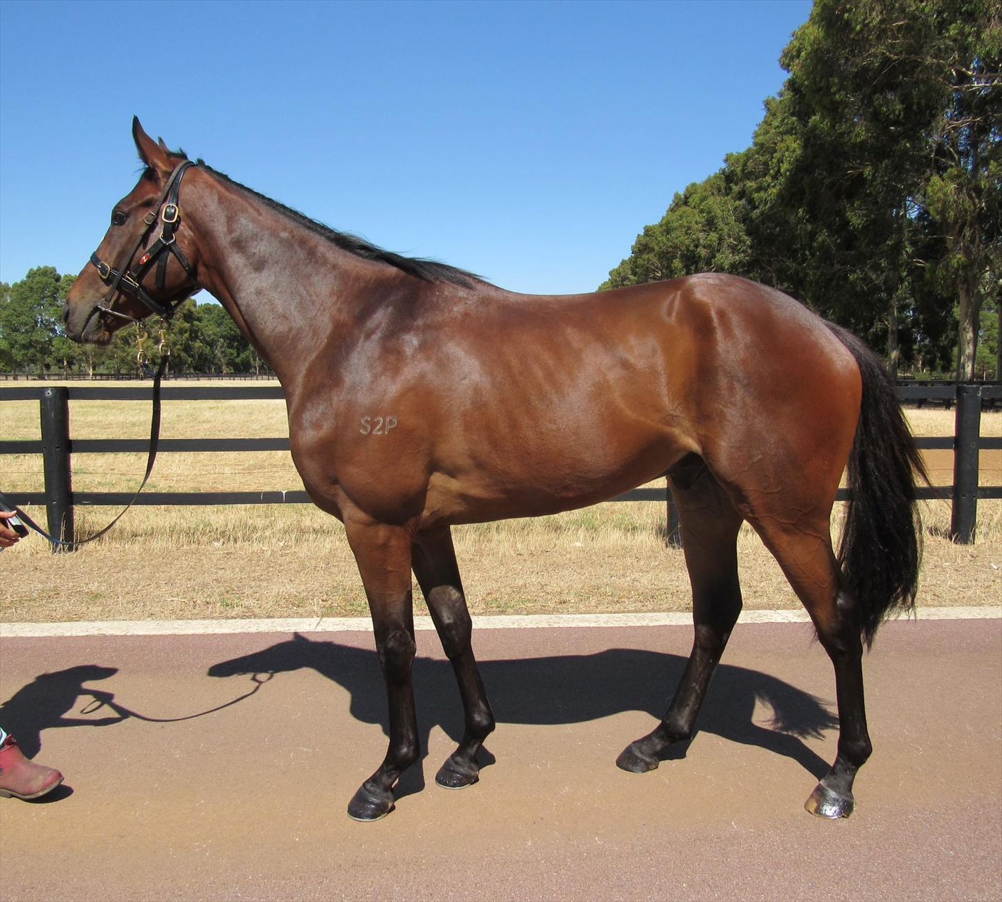 Observation confirmation