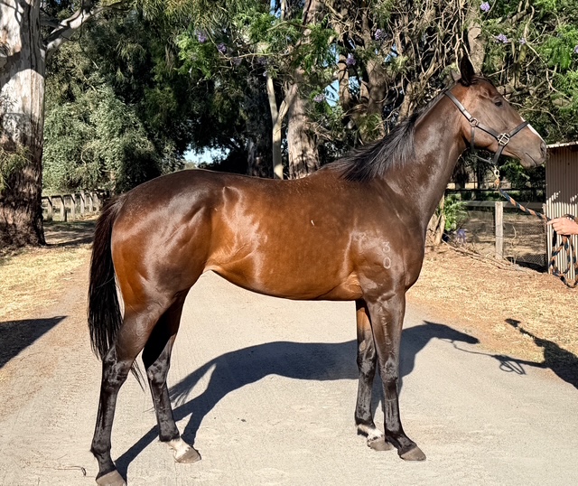 Rubick Lass confirmation