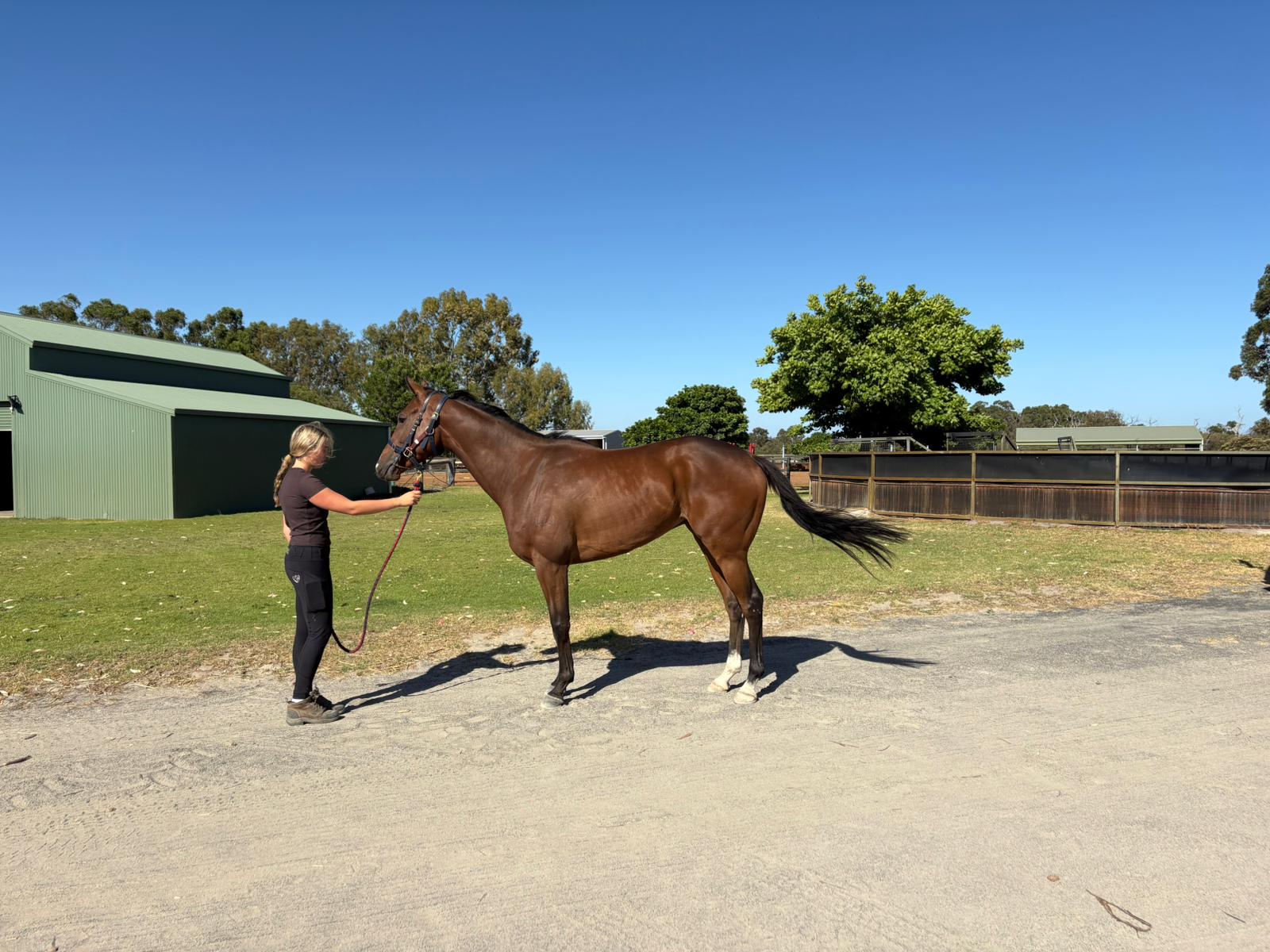 Power To Rule confirmation