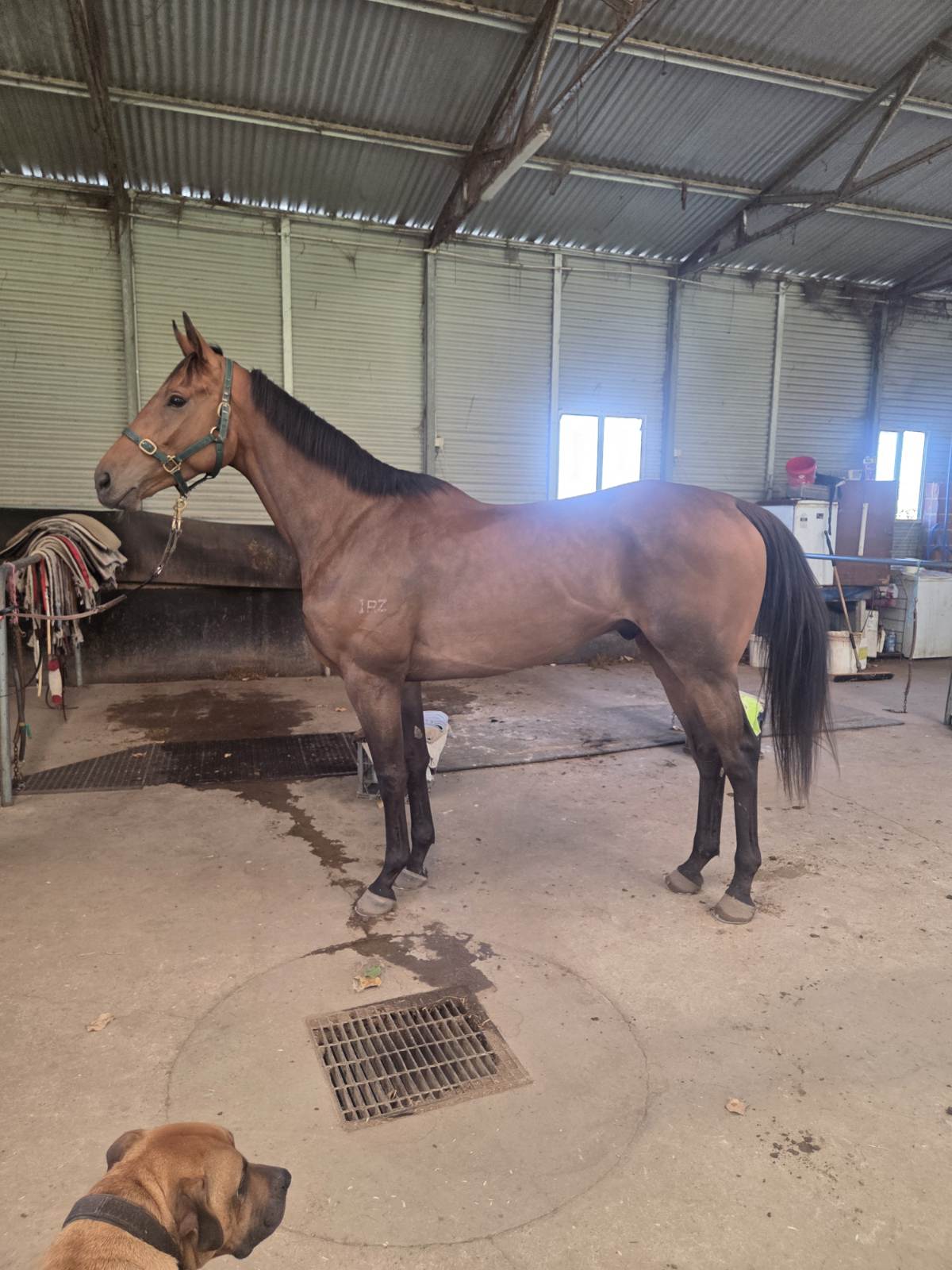 Sky God confirmation