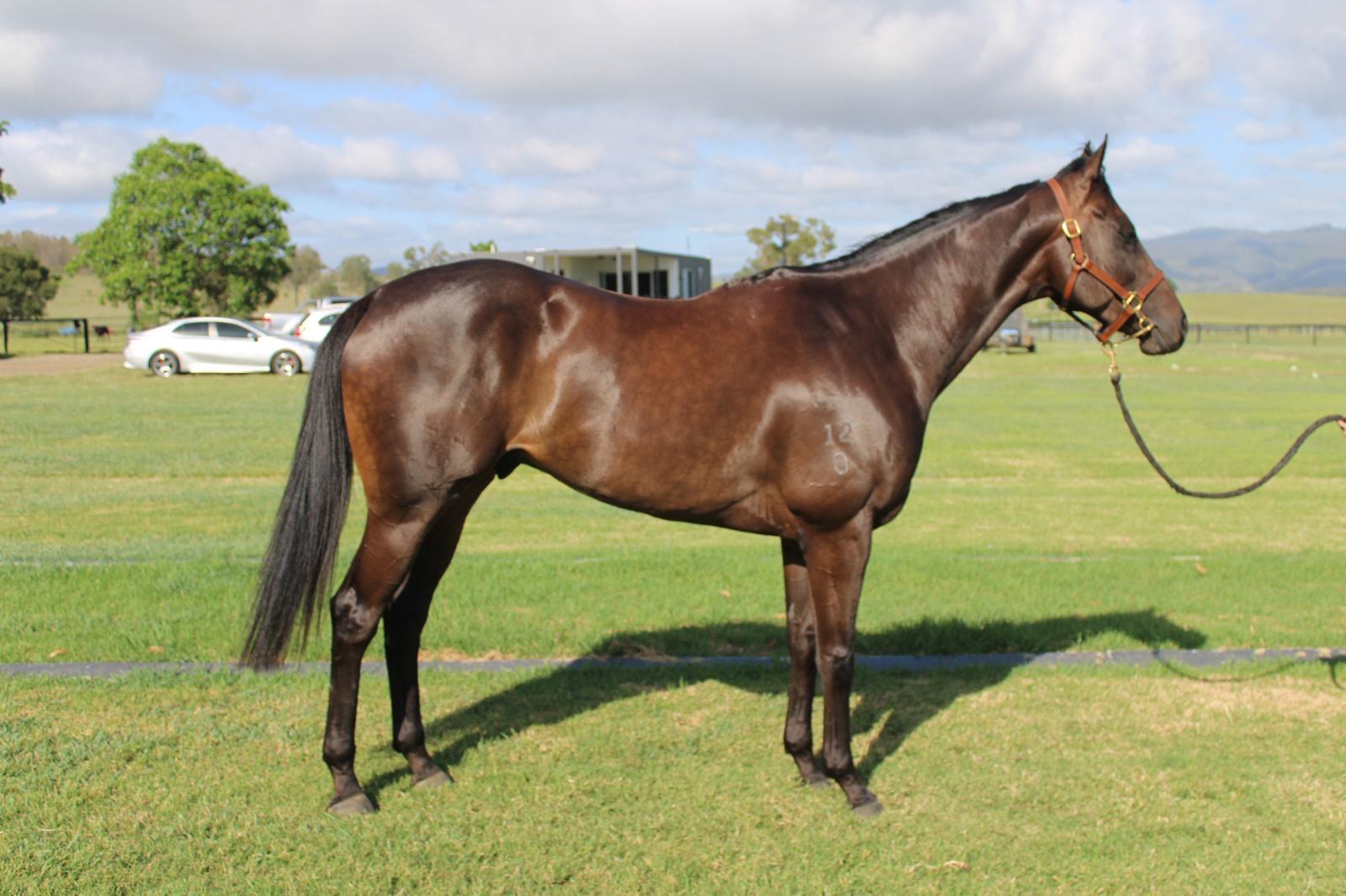 Intruder confirmation