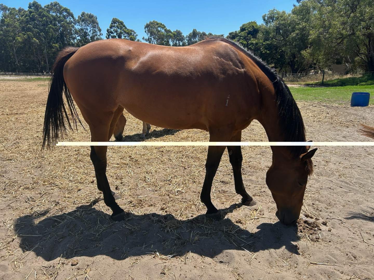 Imposing Ruler confirmation