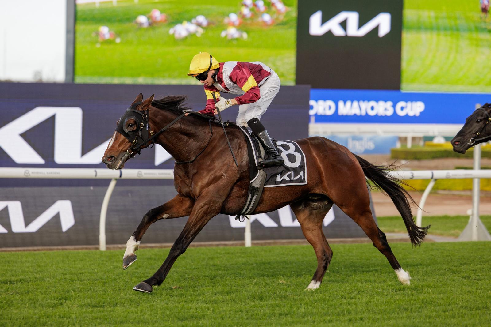 Touristic confirmation