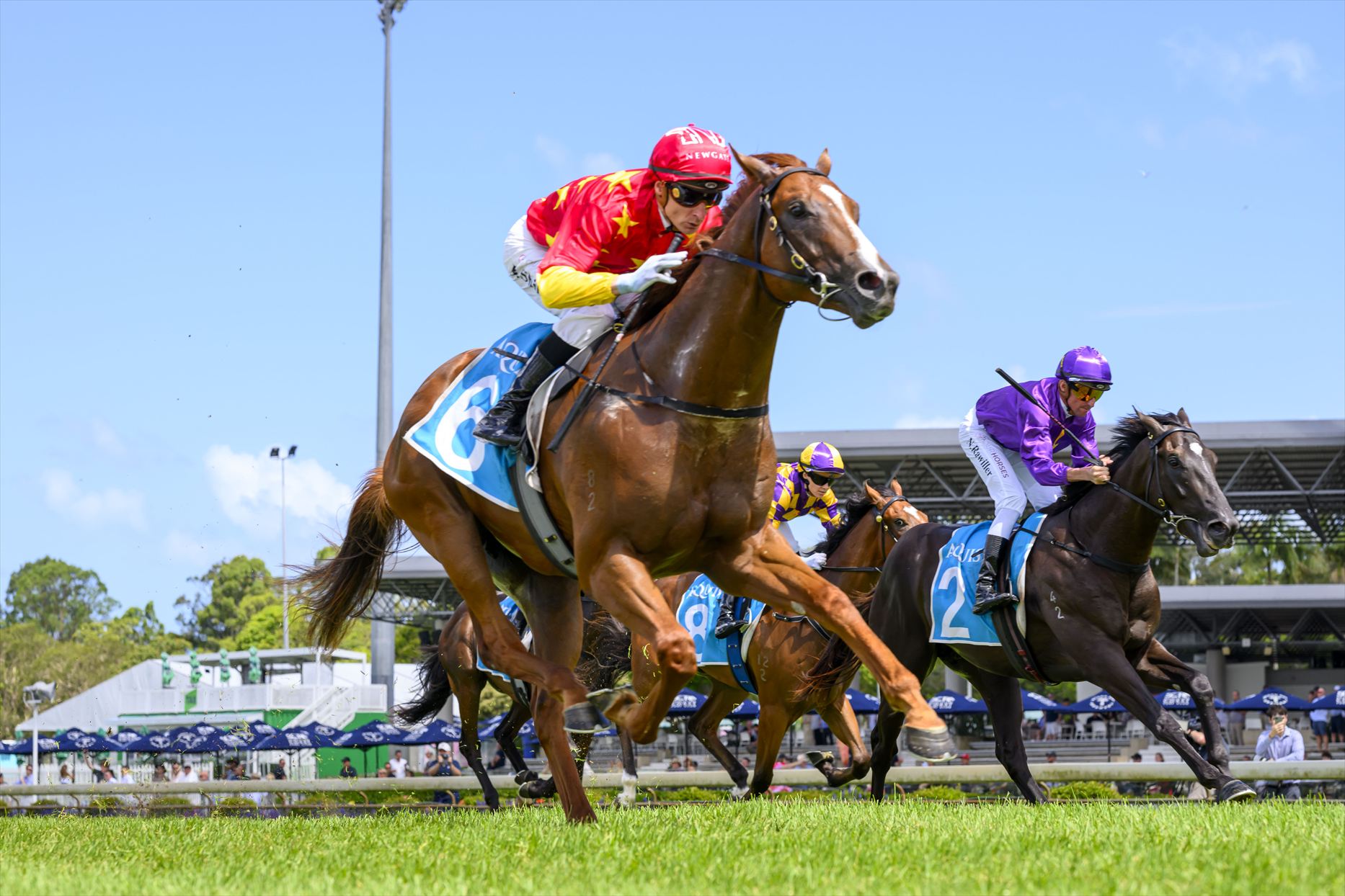 Z_DS4_8144 Quietly Arrogant 2