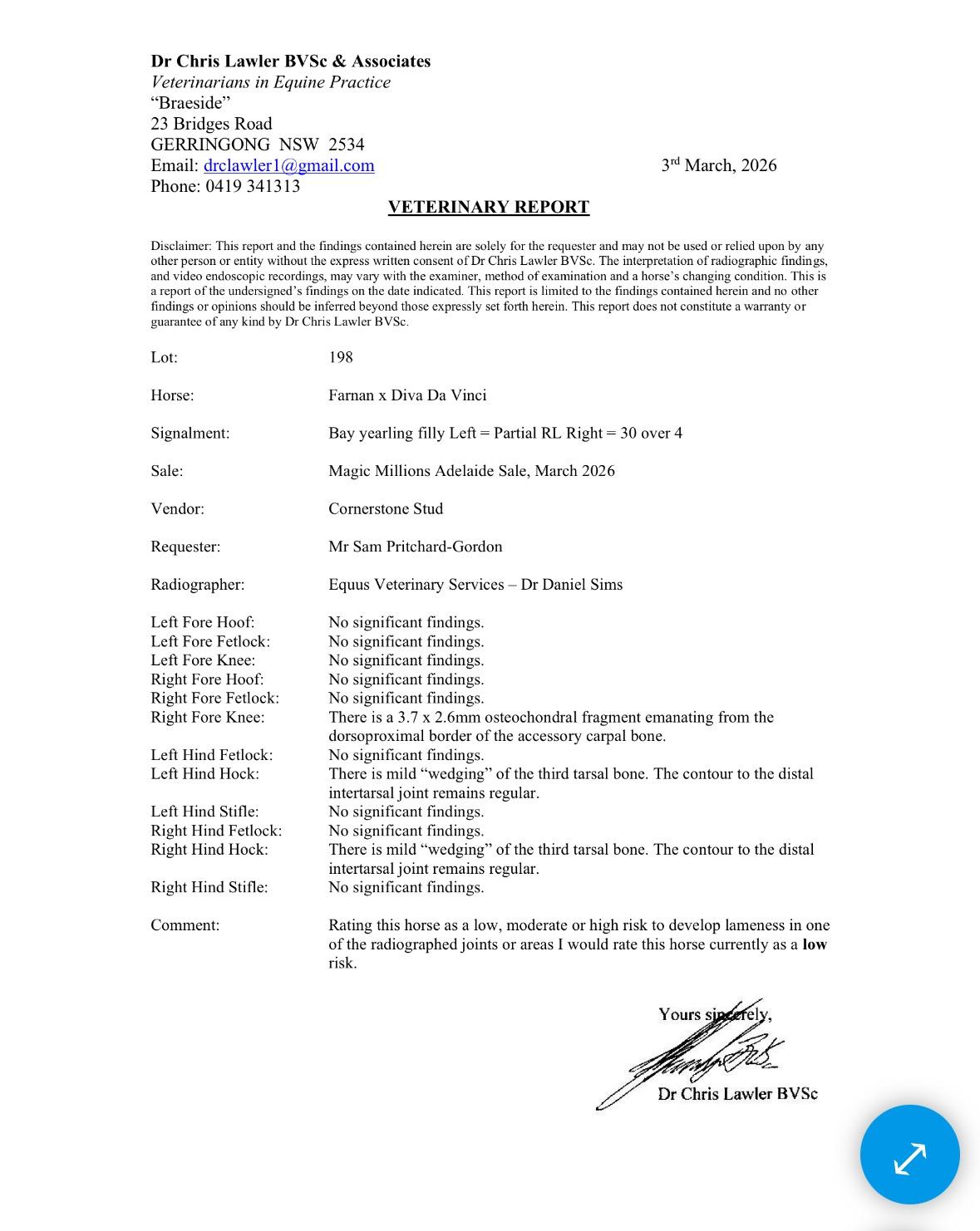 Vet Report