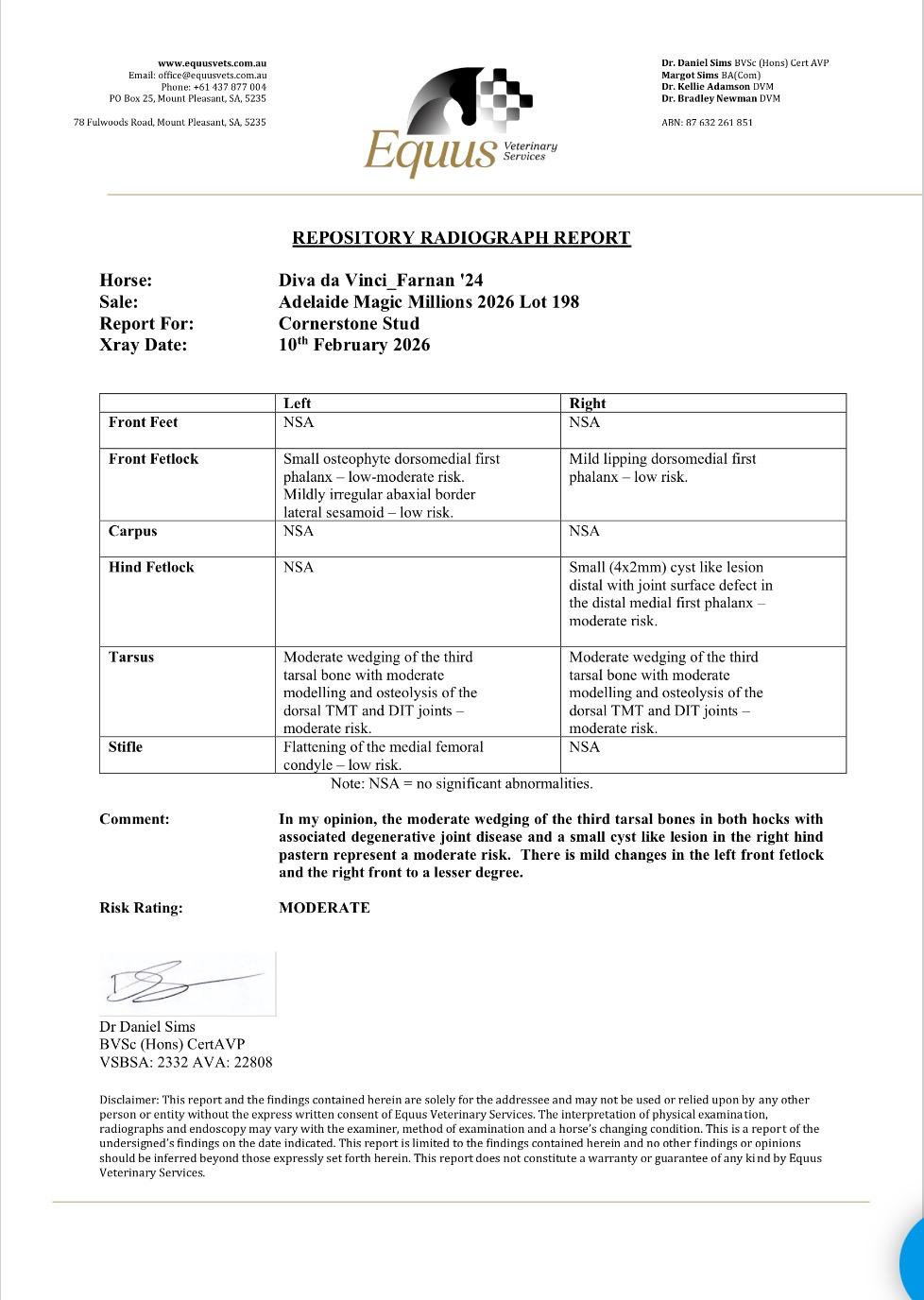 Xray Report