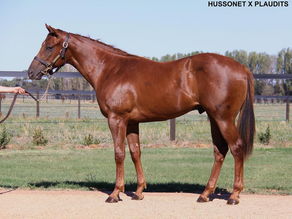 Seobu Jeomseon - photo 1