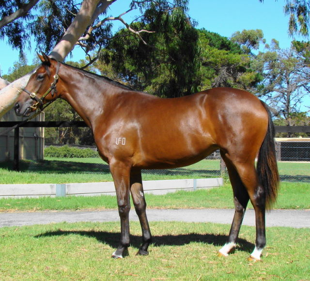 Artie Schiller (USA) / Tara Na (AUS) - photo 1