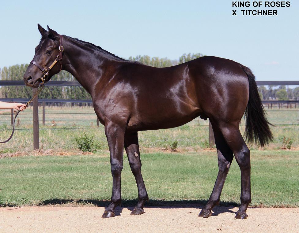 Gully King - photo 1