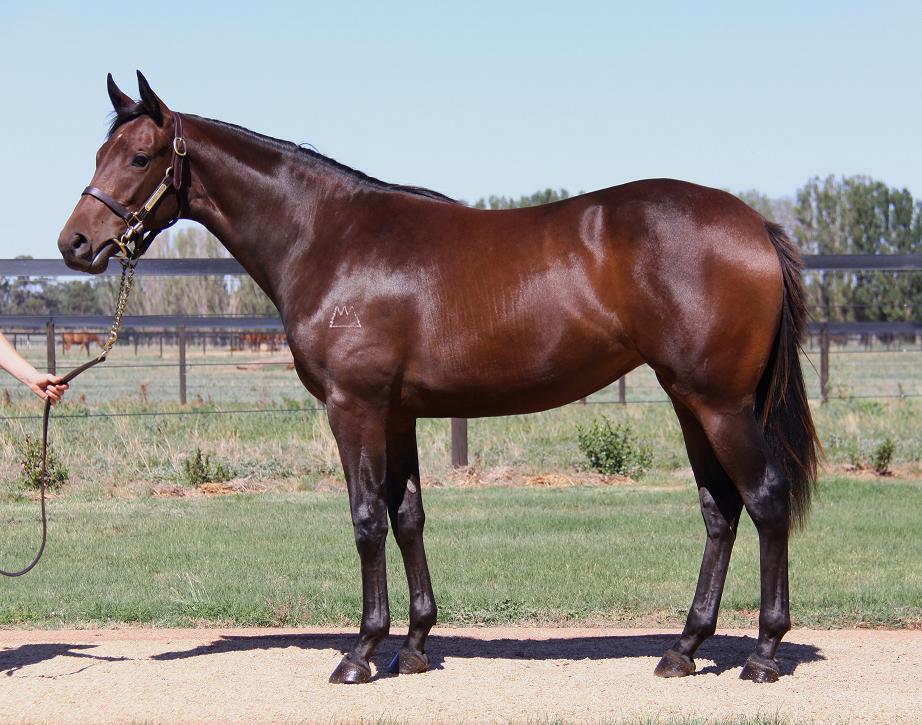 Rich Russian - photo 1