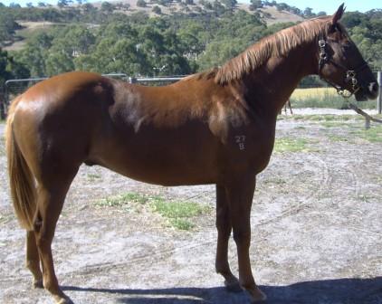 Super Lucky - photo 1