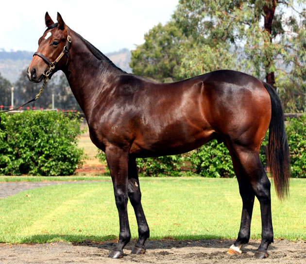 Stratumsphere - photo 1