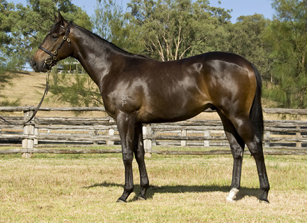 Cosmic Boom - photo 1