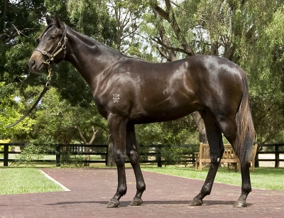 I Knew That - photo 1