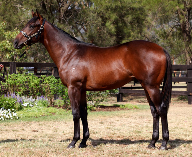 Chunky Monkey - photo 1