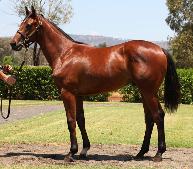 Full Blast (AUS) - photo 1