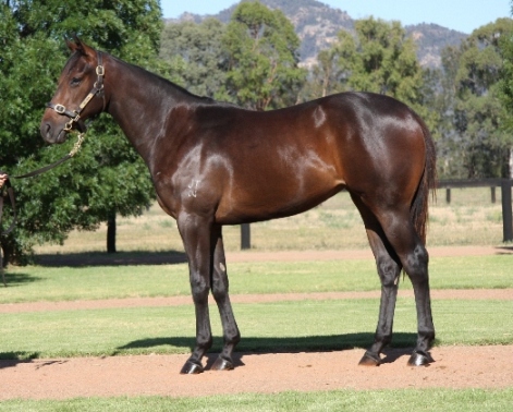 Stratum Strikes - photo 1