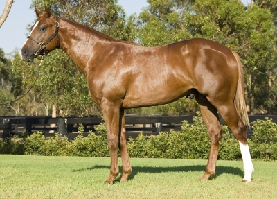 Space Mission - photo 1