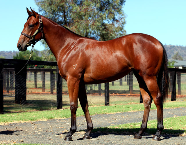 Al's Magic Miss - photo 1