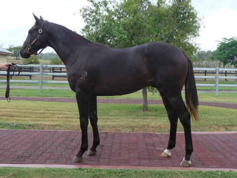 Here's De Cash - photo 1