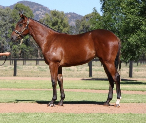 Princess Layla - photo 1