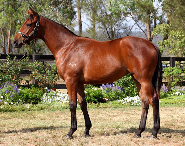 Rock Robster (AUS) - photo 1