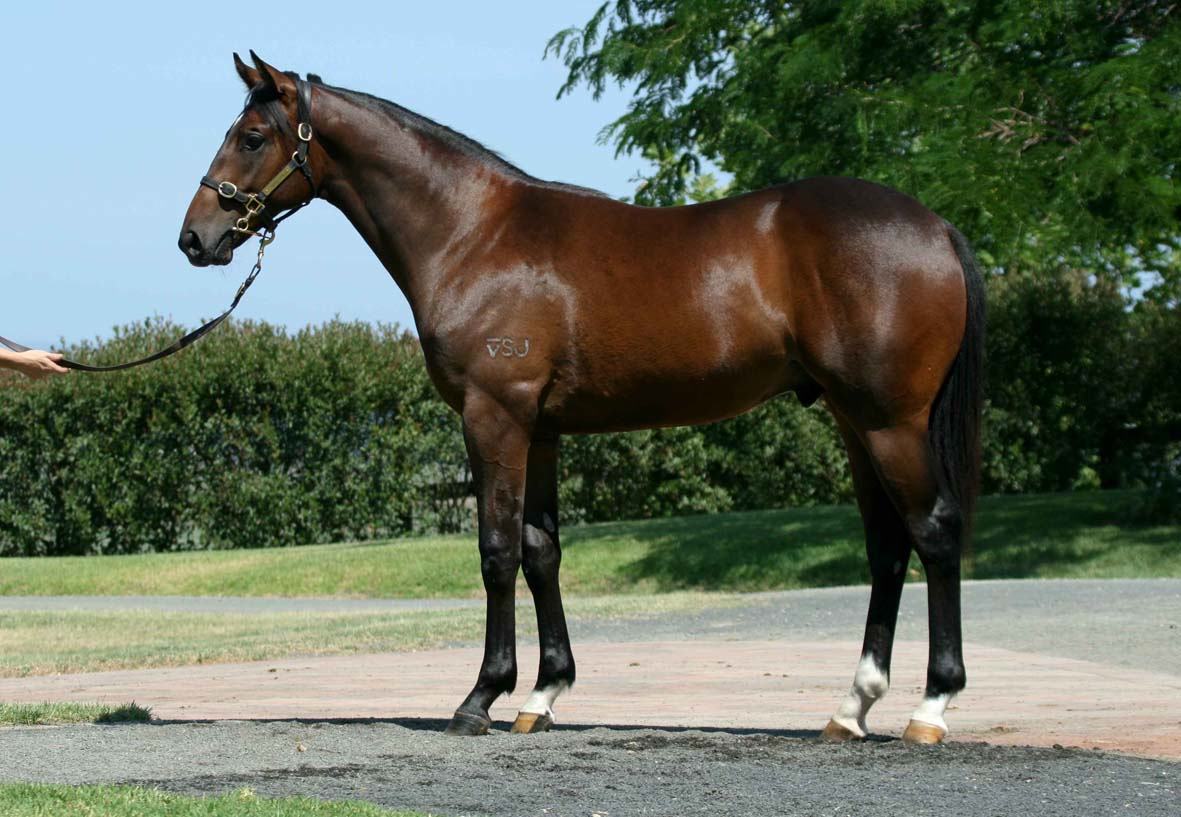 Steel To The Heel - photo 1