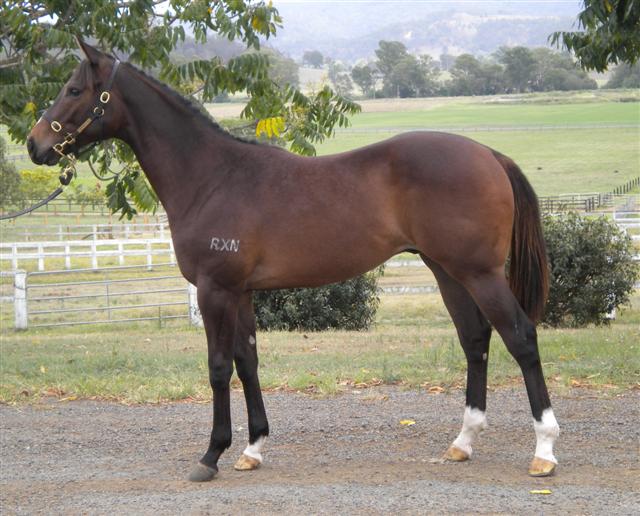 Winabe Boy - photo 1