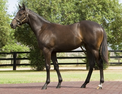 Accomplishment - photo 1