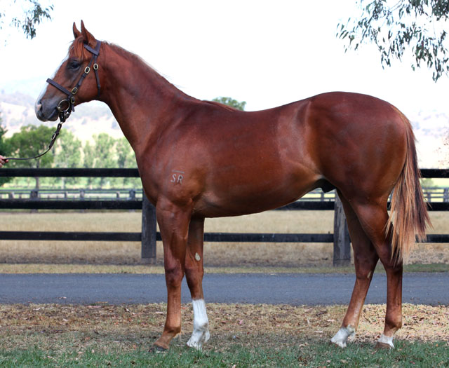 Claro Vista - photo 1