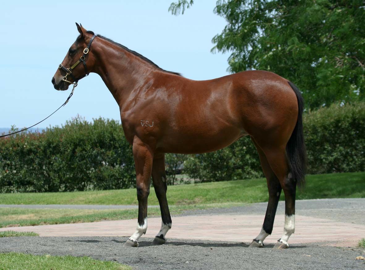 Miss Chaqueta - photo 1