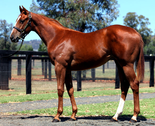 Clearspell - photo 1